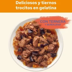 Cat Chow Buey en Gelatina Outlet