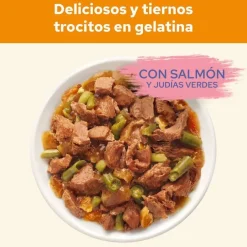 Cat Chow Salmón en Gelatina