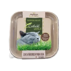 Catfield GreenCat Hierba Natural para gatos New
