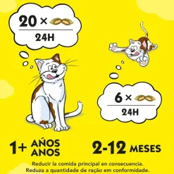 Catisfactions Bocaditos de Catnip para gatos New