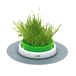 Catit Germinador de Hierba Gatera Sale