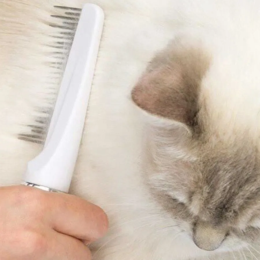 Catit Grooming Kit de belleza para gatos de pelo largo Best