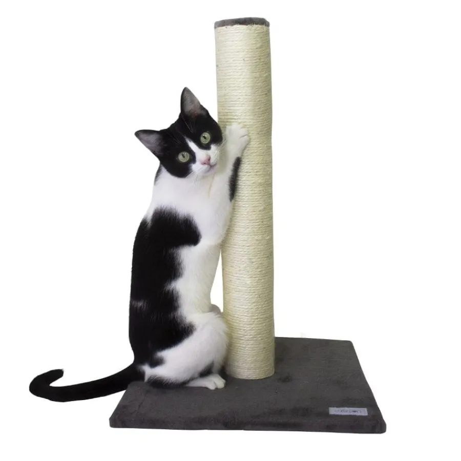 Catshion Pole Rascador Gris para gatos Outlet