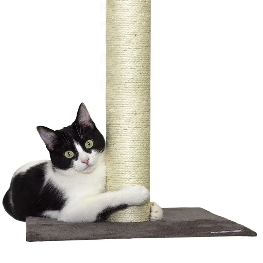 Catshion Pole Rascador Gris para gatos Outlet