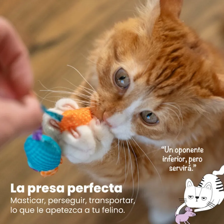 Catstages Chew Ratón con Catnip para gatos Clearance