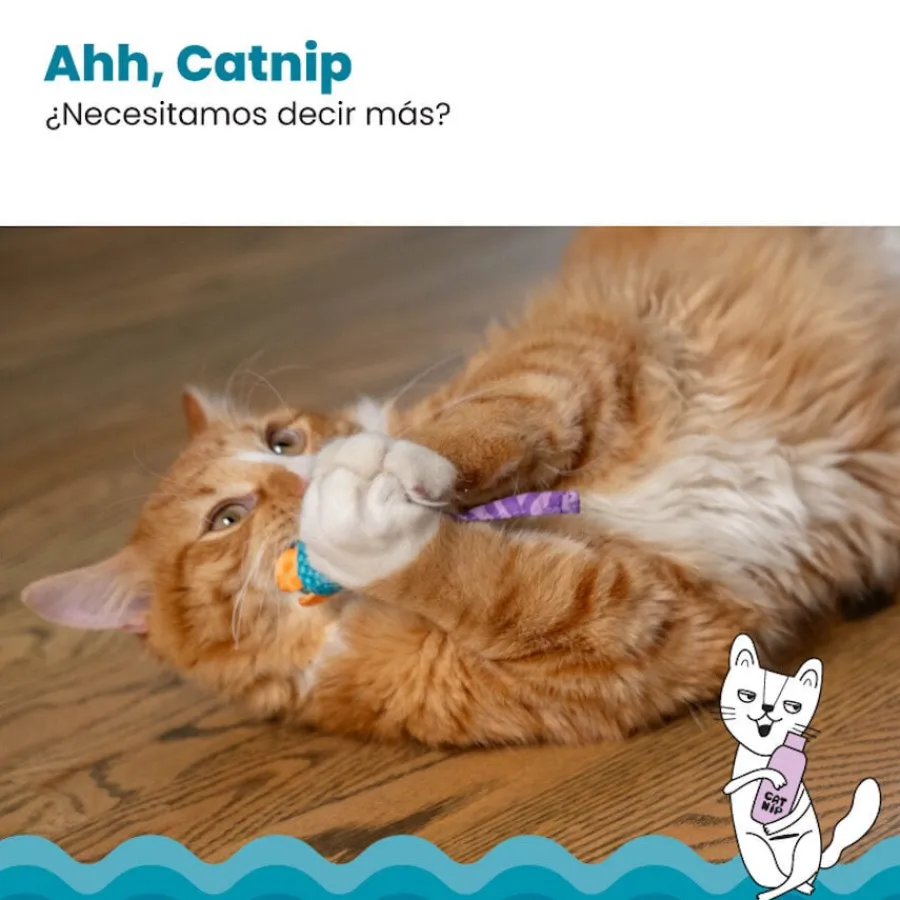 Catstages Chew Ratón con Catnip para gatos Clearance