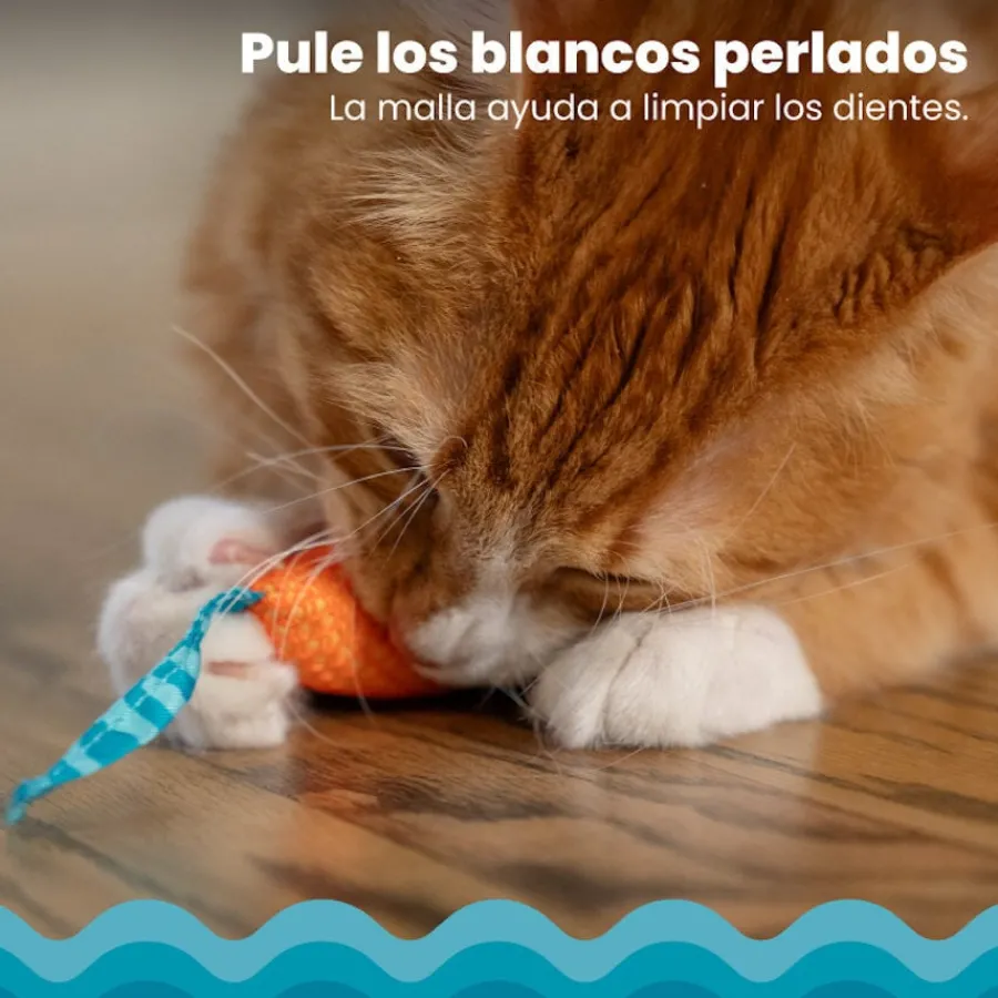 Catstages Chew Ratón con Catnip para gatos Clearance