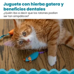 Catstages Chew Ratón con Catnip para gatos Clearance