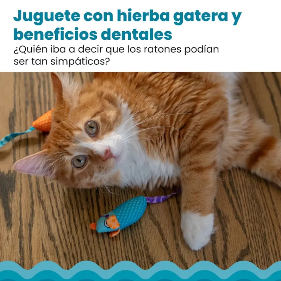 Catstages Chew Ratón con Catnip para gatos Clearance
