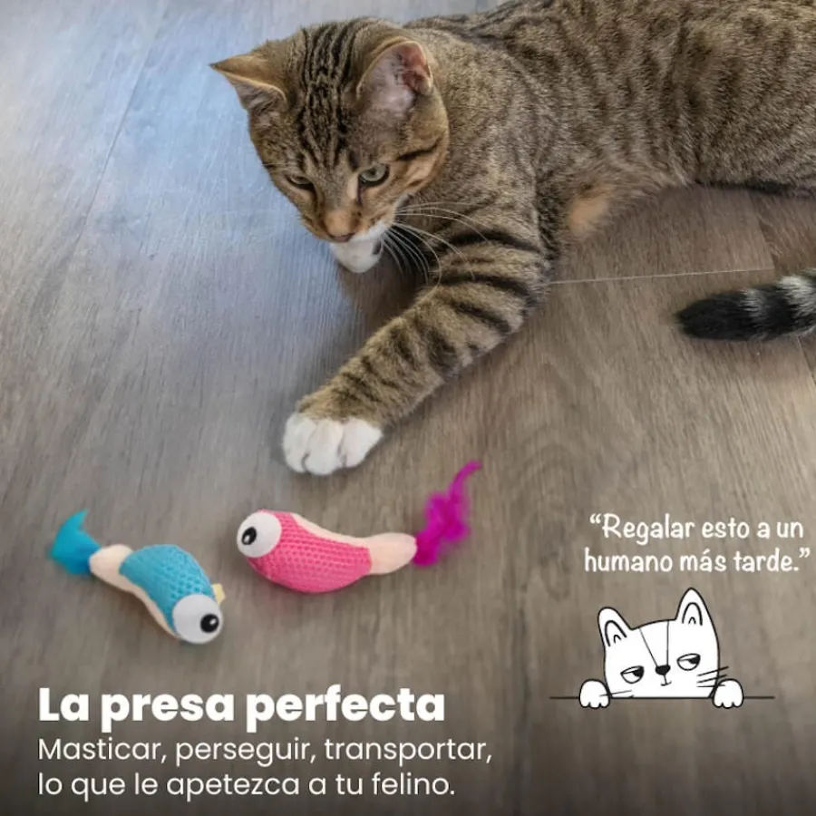 Catstages Dental Shrimpies Peluches con Plumas para gatos