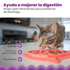 Catstages Fishie Fun Pez de Juguete Dispensador de Comida para gatos Best