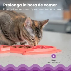 Catstages Fishie Fun Pez de Juguete Dispensador de Comida para gatos Best