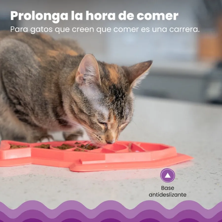 Catstages Fishie Fun Pez de Juguete Dispensador de Comida para gatos Best
