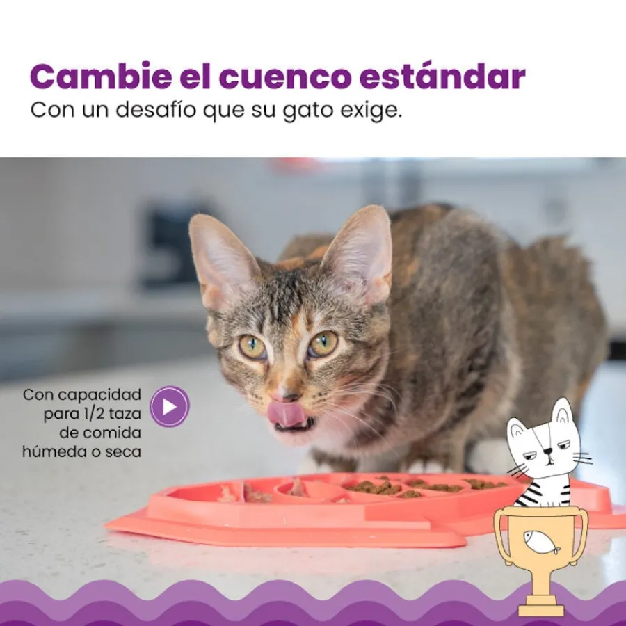 Catstages Fishie Fun Pez de Juguete Dispensador de Comida para gatos Best