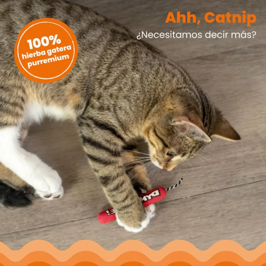 Catstages Green Magic Dynamite Rojo Peluche para gatos Outlet
