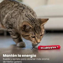 Catstages Green Magic Dynamite Rojo Peluche para gatos Outlet