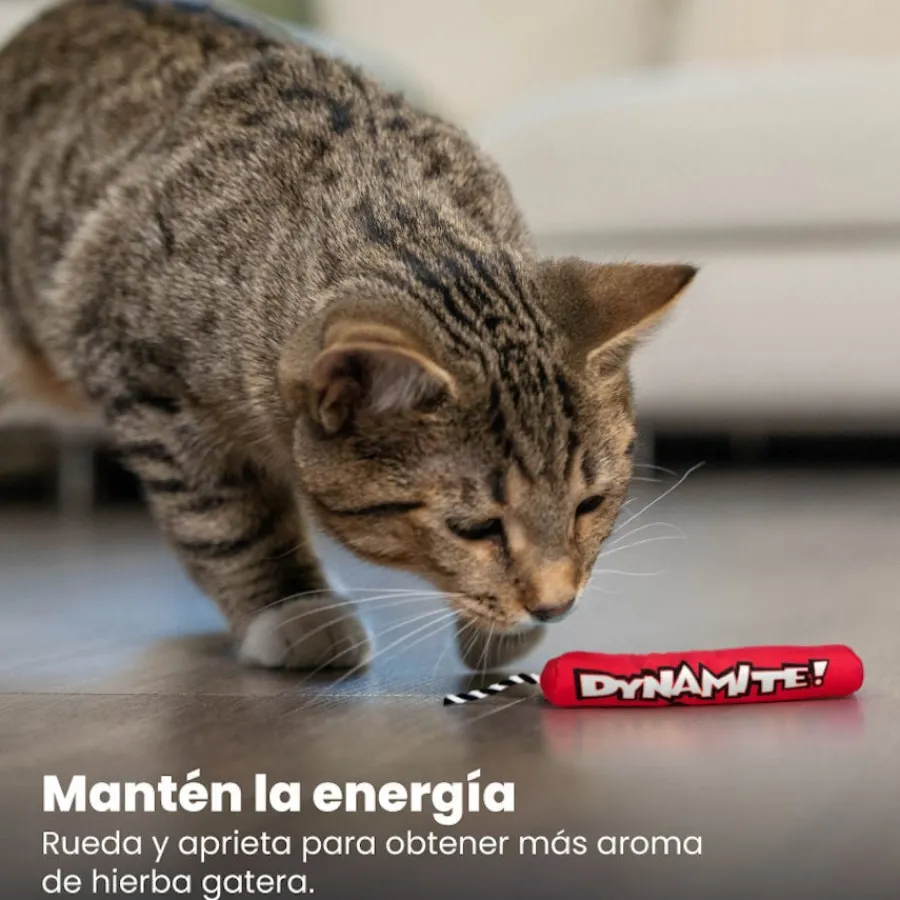 Catstages Green Magic Dynamite Rojo Peluche para gatos Outlet