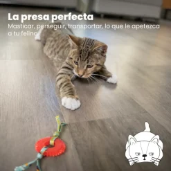 Catstages Kitty Chew Roja Rueda Mordedor para gatos Clearance