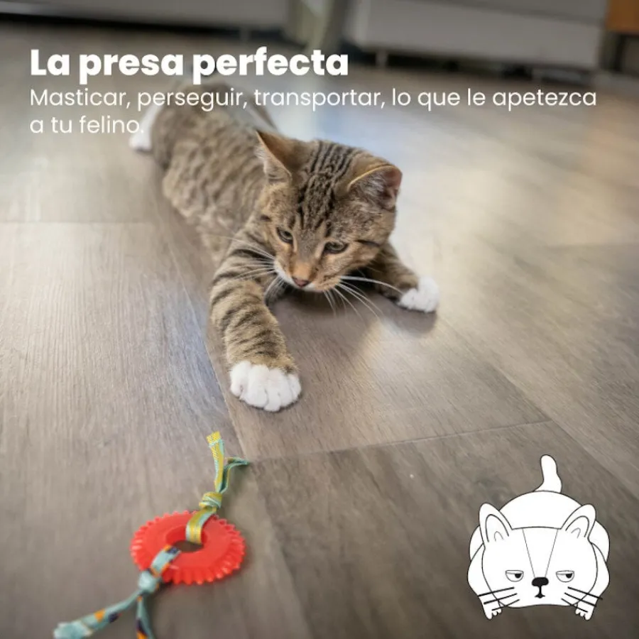 Catstages Kitty Chew Roja Rueda Mordedor para gatos Clearance