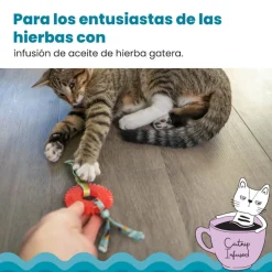 Catstages Kitty Chew Roja Rueda Mordedor para gatos Clearance