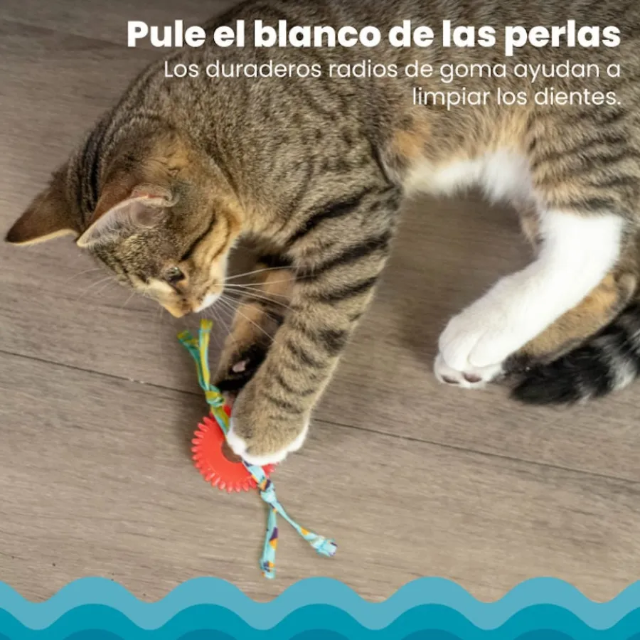 Catstages Kitty Chew Roja Rueda Mordedor para gatos Clearance