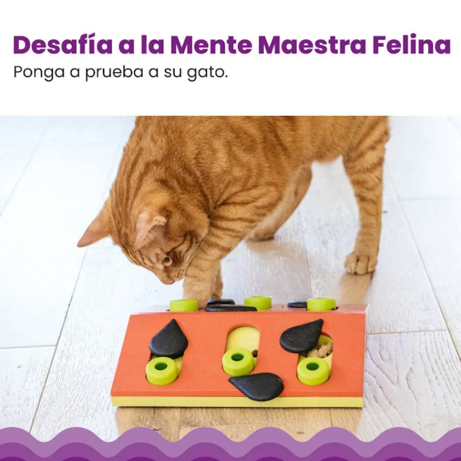 Catstages Nina Ottosson Puzzle & Play Melon Madness Juguete de Inteligencia para gatos Clearance
