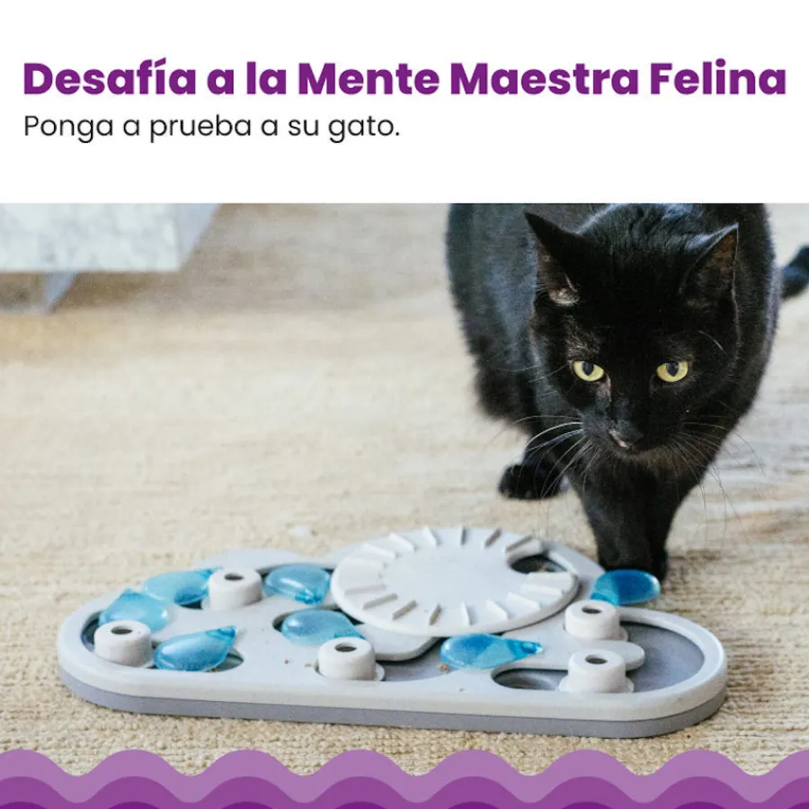 Catstages Nina Ottosson Puzzle & Play Rainy Day Juguete de Inteligencia para gatos Online