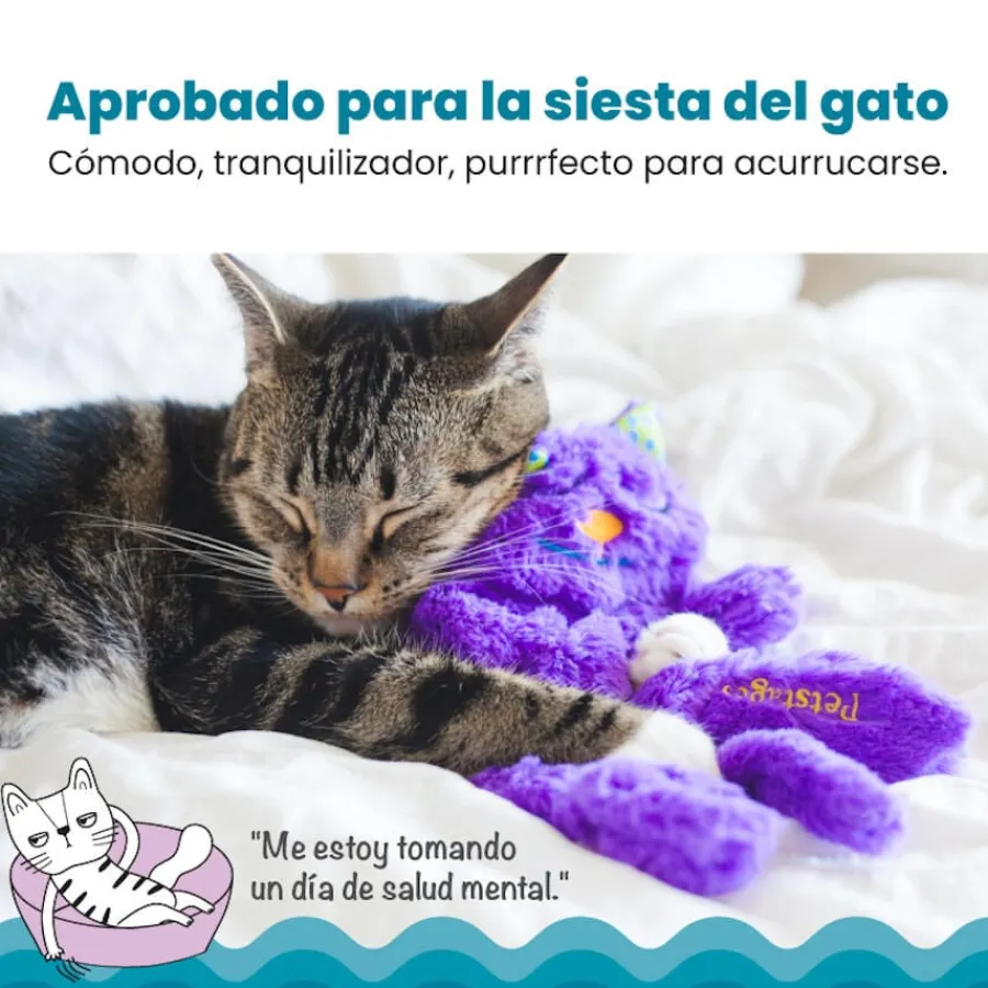 Catstages Purr Pillow Kitty Peluche Relajante para gatos Clearance