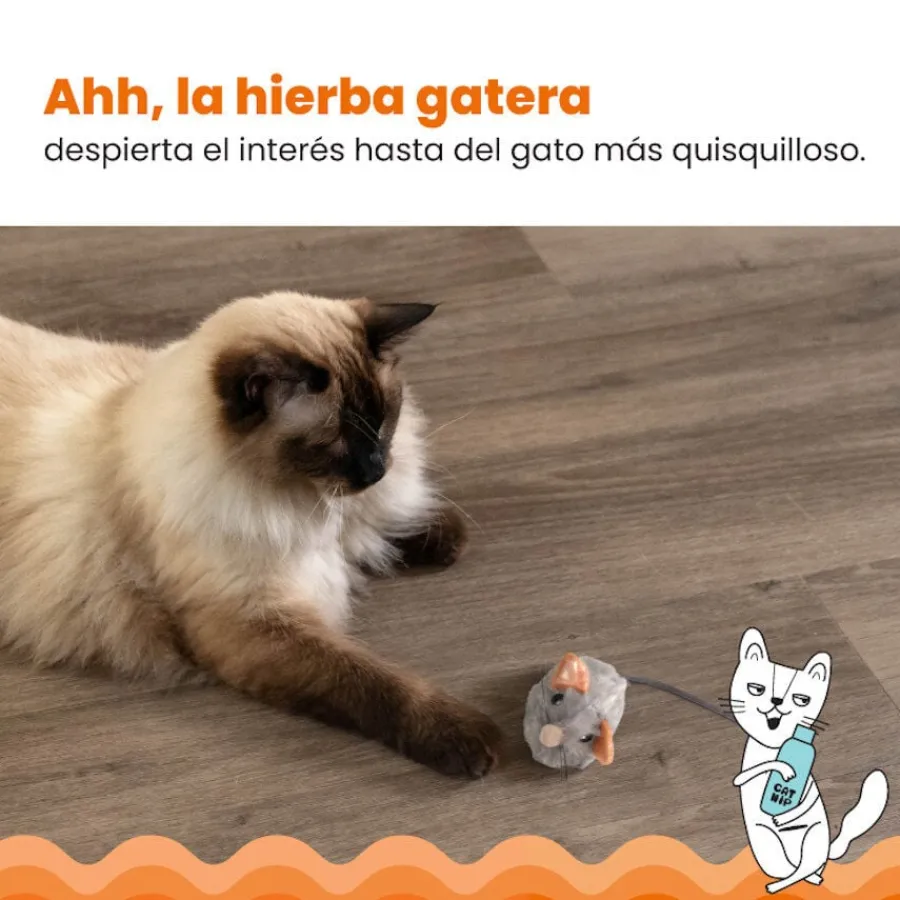 Catstages Squeaky Squeaky Gris Ratón de Juguete con Catnip para gatos Sale