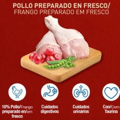 Catxtreme Adult Indoor Sterilised Pollo pienso para gatos