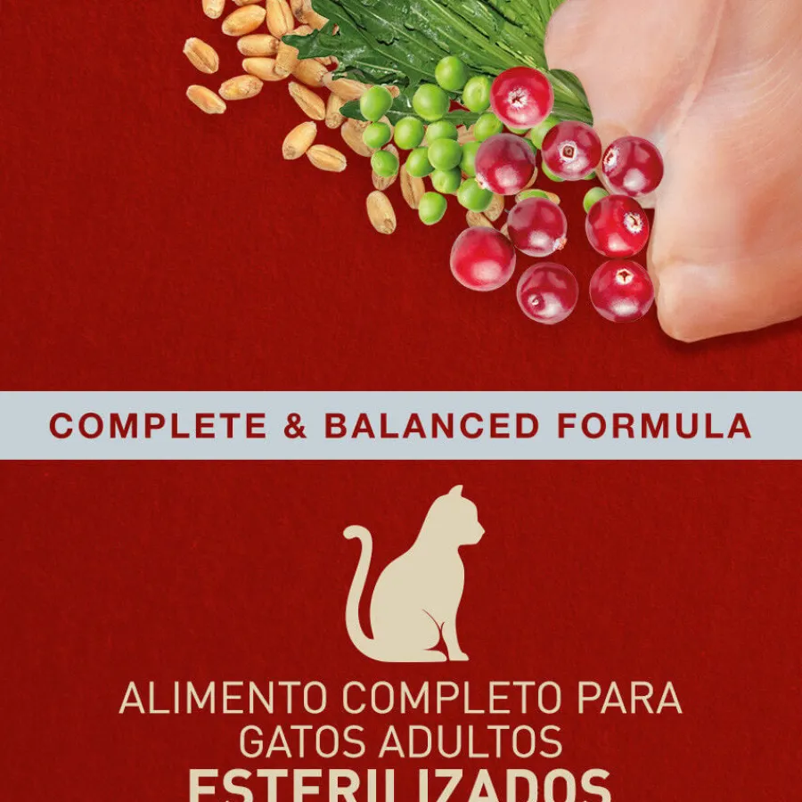 Catxtreme Adult Indoor Sterilised Pollo pienso para gatos