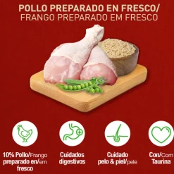Catxtreme Adult Outdoors Pollo pienso para gatos Outlet