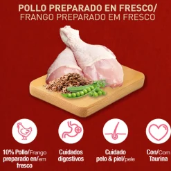 Catxtreme Adult Skin & Coat Sterilised Pollo pienso para gatos Discount