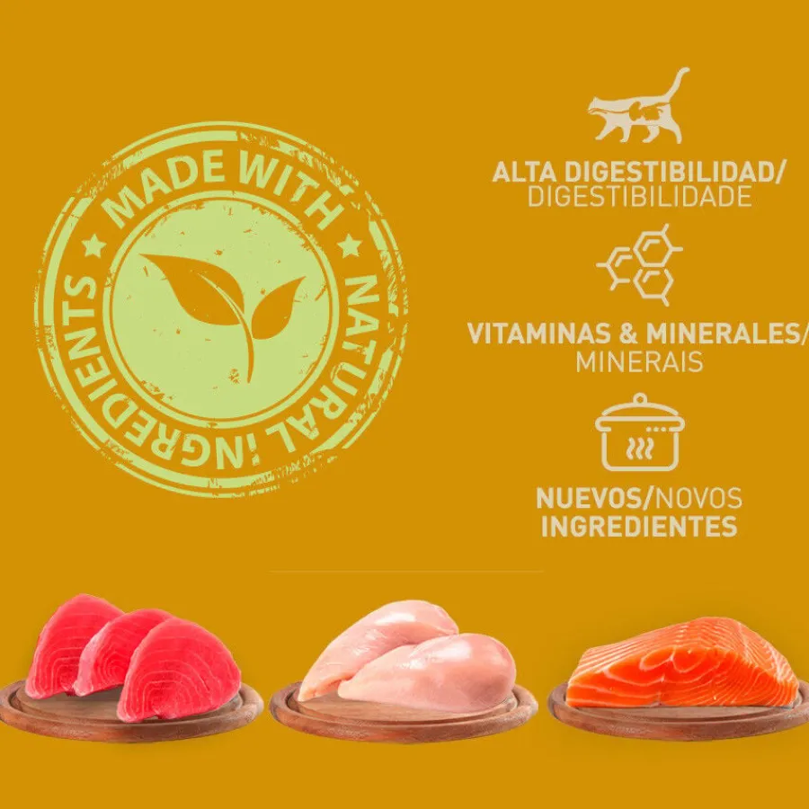 Catzilla Adult Grain Paté latas para gatos Discount