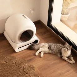 Cecotec Pumba 8000 CleanKitty Smart Arenero Autolimpiable para gatos Online