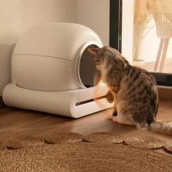 Cecotec Pumba 8000 CleanKitty Smart Arenero Autolimpiable para gatos Online