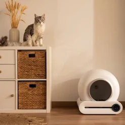 Cecotec Pumba 8000 CleanKitty Smart Arenero Autolimpiable para gatos Online
