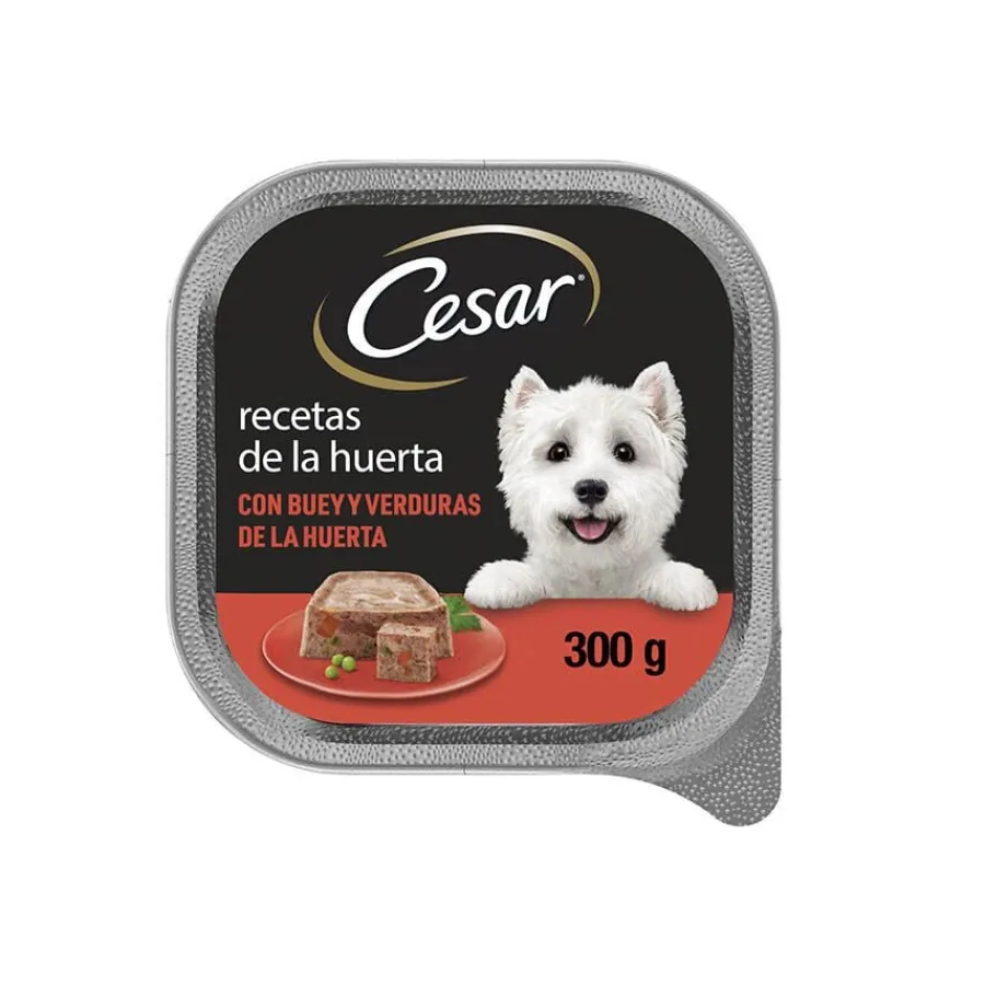 Cesar Buey y Verduras Tarrina en Gelatina para Perros Discount
