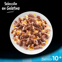 Cesar Carnes Mixtas Gelatina en Bolsita para Perros Senior - Multipack Online