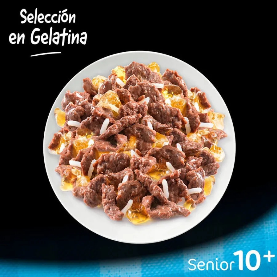 Cesar Carnes Mixtas Gelatina en Bolsita para Perros Senior - Multipack Online