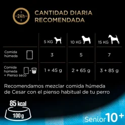 Cesar Carnes Mixtas Gelatina en Bolsita para Perros Senior - Multipack Online