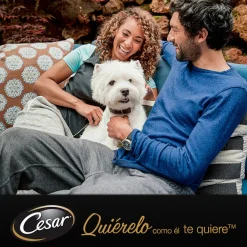 Cesar Carnes Mixtas Gelatina en Bolsita para Perros Senior - Multipack Online