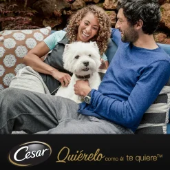 Cesar Carnes Mixtas Gelatina en Bolsita para Perros - Multipack New