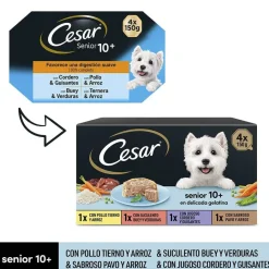 Cesar Carnes Mixtas Tarrina en Gelatina para Perros Senior - Multipack Discount