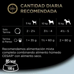 Cesar Carnes Mixtas Tarrina en Gelatina para Perros Senior - Multipack Discount
