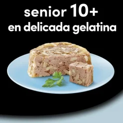 Cesar Carnes Mixtas Tarrina en Gelatina para Perros Senior - Multipack Discount