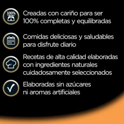 Cesar Natural Goodness Ternera tarrina para perros New