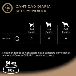 Cesar Pavo y Ternera Tarrina en Gelatina para Cachorros Discount