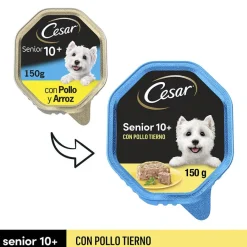 Cesar Pollo y Arroz Tarrina en Gelatina para Perros Senior Online