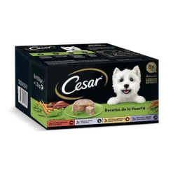 Cesar Recetas de la huerta Tarrina en Paté y Gelatina para Perros - Multipack Clearance